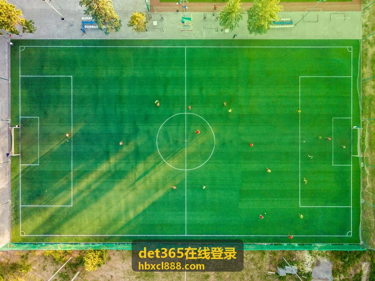 物流供应链企业使用det365在线登录统一接入系统案例